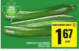 Food Basics SEEDLESS CUCUMBER offer