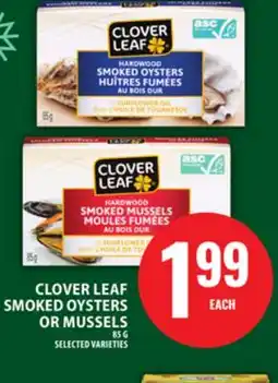 Food Basics CLOVER LEAF SMOKED OYSTERS OR MUSSELS offer