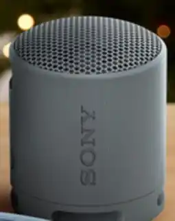 Walmart Minihaut-parleur SRS-XB1OO de Sony offer