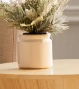 Walmart Petit pot de verdures hivernales Bouclair offer