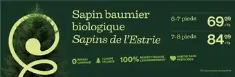 Avril Sapin baumier biologique Sapins de l'Estrie offer