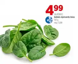 Avril bébés épinards bios offer