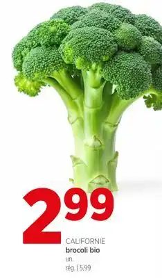 Avril brocoli bio offer