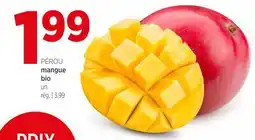 Avril mangue bio offer