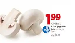 Avril champignons blancs bios offer