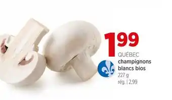 Avril champignons blancs bios offer