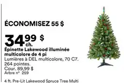 Michaels Épinette Lakewood illuminée multicolore de 4 pi offer
