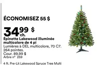 Michaels Épinette Lakewood illuminée multicolore de 4 pi offer