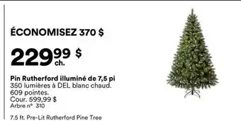 Michaels Pin Rutherford illuminé de 7,5 pi offer