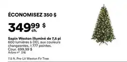 Michaels Sapin Weston illuminé de 7,5 pi offer