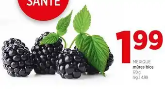 Avril mûres bios offer