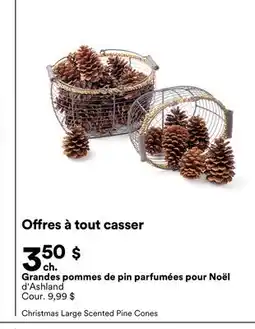 Michaels Grandes pommes de pin parfumées pour Noël d'Ashland offer