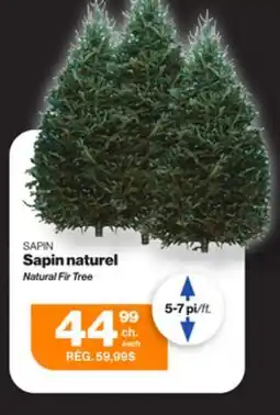 Patrick Morin Christmas Tree Natural Premium, 5 ft. to 7 ft offer