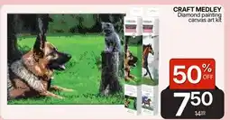 Rossy CRAFT MEDLEY Diamond painting canvas art kit offer