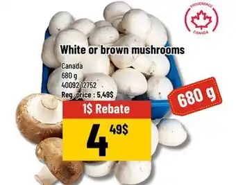 Mayrand White or brown mushrooms Canada 680 g offer