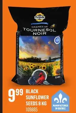 Canac Black Sunflower Seeds 8 kg offer