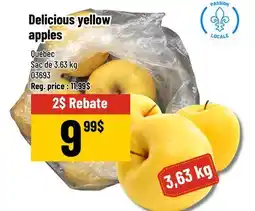 Mayrand Golden Delicious Apple offer