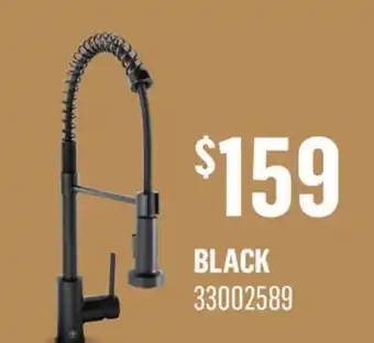 Canac Massimo Pull-Out Kitchen Faucet offer