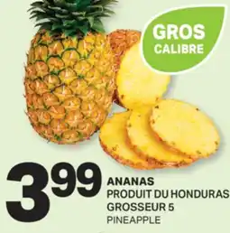L'Intermarché ANANAS | PINEAPPLE, GROSSEUR 5 offer