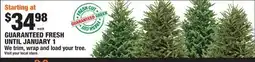 Home Depot trim, wrap and load your tree offer