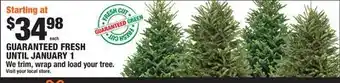 Home Depot trim, wrap and load your tree offer