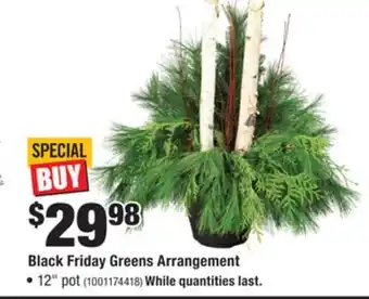 Home Depot Black Friday Greens Arrangement offer