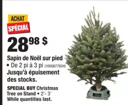 Home Depot Christmas Tree on Stand • 2'- 3' offer