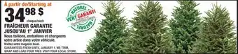 Home Depot WRAP AND LOAD YOUR TREE offer