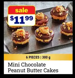 M & M Food Market Mini Chocolate Peanut Butter Cakes offer