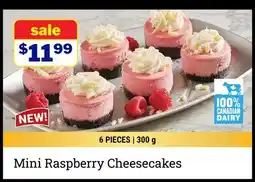 M & M Food Market Mini Raspberry Cheesecakes offer
