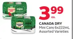 Rexall CANADA DRY Mini Cans offer