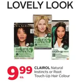 Rexall CLAIROL Natural Instincts or Root Touch-Up Hair Colour offer