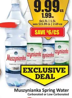 Starsky Muszynianka Spring Water offer