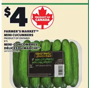 Independent City Market FARMER'S MARKET MINI CUCUMBERS, 6'S offer