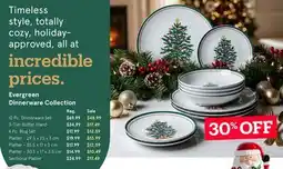 Kitchen Stuff Plus Evergreen Dinnerware Collection offer