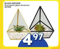 Rossy BLACK + DECKER Succulents glass terrarium offer