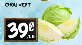 Marche Salaberry CHOU VERT offer