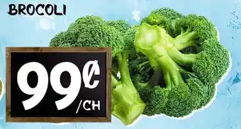 Marche Salaberry BROCOLI offer