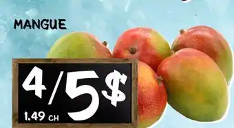 Marche Salaberry MANGUE offer