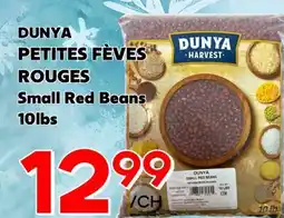 Marche Salaberry DUNYA PETITES FÈVES ROUGES offer
