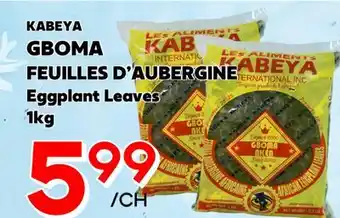 Marche Salaberry KABEYA GBOMA FEUILLES D'AUBERGINE offer