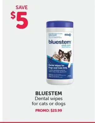 Mondou BLUESTEM Dental wipes for cats or dogs offer