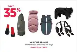 Mondou VARIOUS BRANDS Winter boots and coats for dog offer