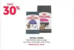 Mondou ROYAL CANIN Dry food for cats or dogs Cats offer