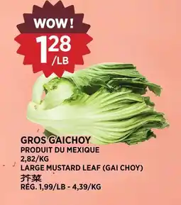 Kim Phat LARGE MUSTARD LEAF (GAI CHOY) offer