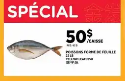 Kim Phat YELLOW LEAF FISH offer