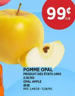 Kim Phat OPAL APPLE offer