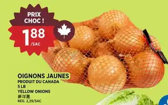 Kim Phat YELLOW ONIONS offer