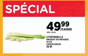 Kim Phat LEMON GRASS offer