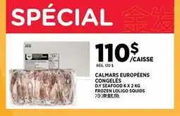 Kim Phat D.Y SEAFOOD FROZEN LOLIGO SQUIDS offer